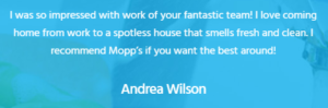 Mopps Customer Review