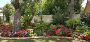 Landscaping Companies in Cape Town & Johannesburg 