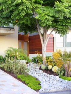 Landscaping Companies in Cape Town & Johannesburg 